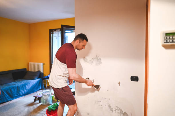 Best Crawl Space Mold Remediation in Boston Heights, OH